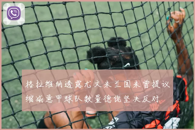 格拉维纳透露尤文米兰国米曾提议缩减意甲球队数量德佬坚决反对